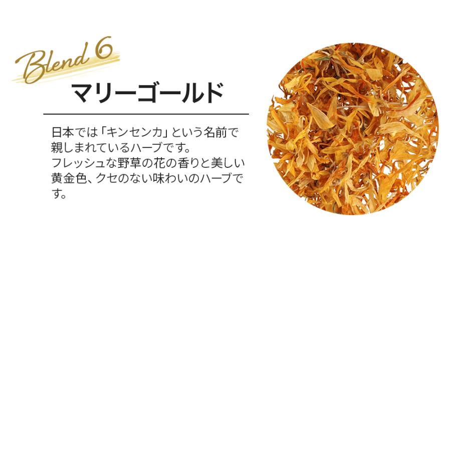 ホット＆スリム 100g （オリジナルブレンドハーブティー）（ ハーブ 