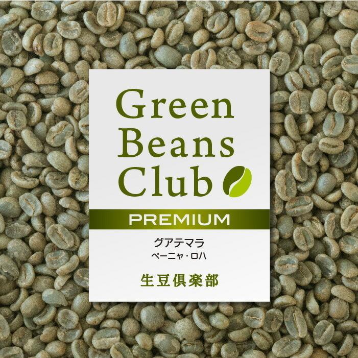 コーヒー 生豆 お試し 1kg 5農園セット 200g×5種類 プレミアム 家庭用 自家焙煎用 未焙煎 生豆倶楽部｜cafegokochi｜08