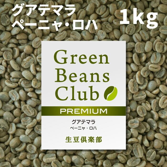 グアテマラ グリーンコーヒー生豆 10㎏ 【公式通販】