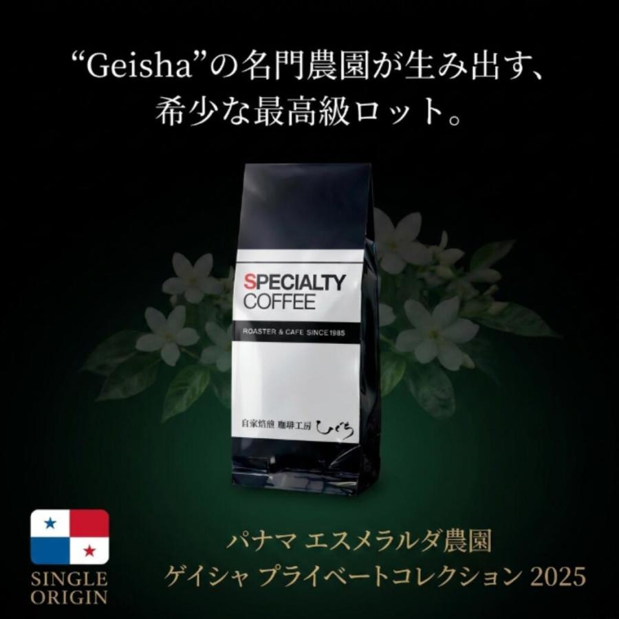 パナマ エスメラルダ農園 ゲイシャ 100g エル・ベロ プライベート