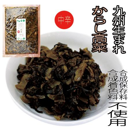 195円 新作ウエア オニマル からし高菜エックス 最強の辛さ1g 1