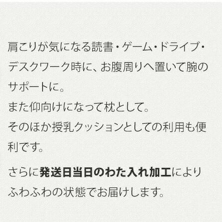 まとめ買い特価 らくらくクッション フレキシブル カバー脱着式 日本製 授乳クッション U字型クッション 2ｗａｙストレッチ おしゃれ 無地 10番オックス リバーシブル 送料無料 Babylonrooftop Com Au