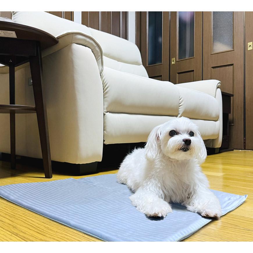 日本製 ひんやり ジェルマット 約50×55cm Raymin 敷きパッド トレハクール 寝具 洗える 速乾 さらさら 保冷剤 クールジェル 小さめ 部分用 畳める 涼しい 夏 |  | 01