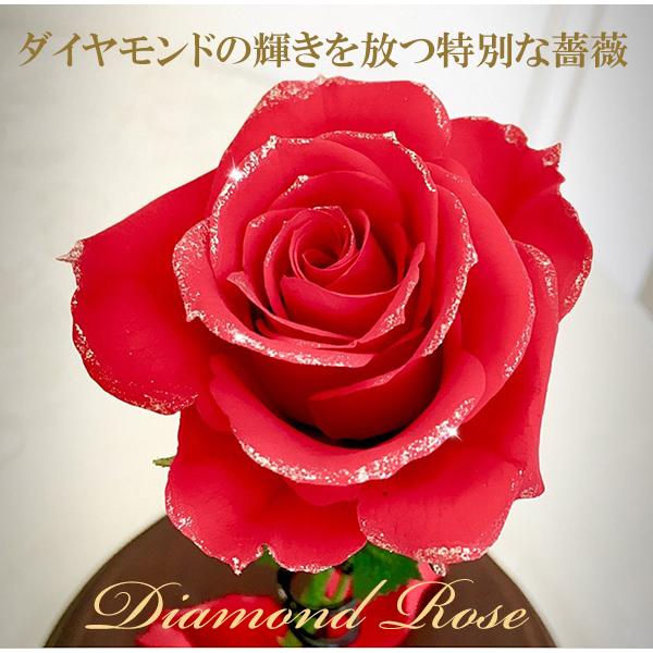 プリザーブドフラワー 一輪のバラ 美女と野獣 誕生日 結婚 記念日 プロポーズ 名入れ 天然ダイヤ付き ブリザードフラワー :beauty-beast:cafura - 通販 - Yahoo!ショッピング プリザーブドフラワー 一輪のバラ 美女と野獣 誕生日 結婚 記念日 プロポーズ 名入れ 天然ダイヤ付き ブリザードフラワー :beauty-beast:cafura - 通販 - Yahoo!ショッピング
