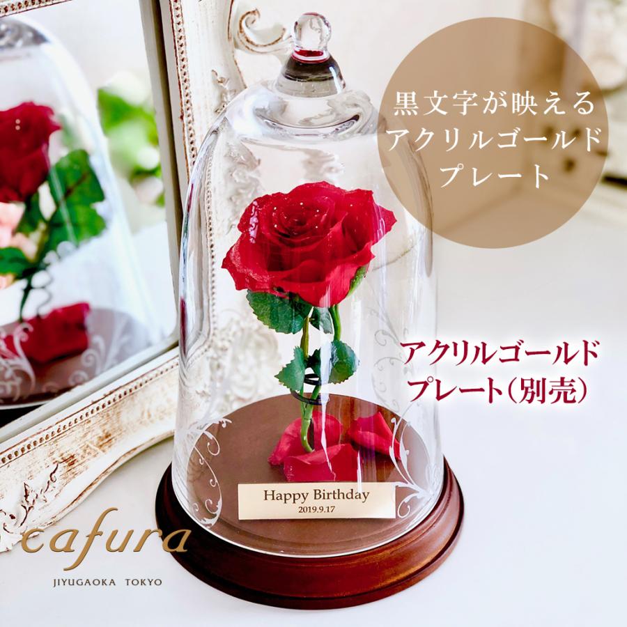 プリザーブドフラワー 一輪のバラ 美女と野獣 誕生日 結婚 記念日 プロポーズ 名入れ 天然ダイヤ付き ブリザードフラワー :beauty-beast:cafura - 通販 - Yahoo!ショッピング プリザーブドフラワー 一輪のバラ 美女と野獣 誕生日 結婚 記念日 プロポーズ 名入れ 天然ダイヤ付き ブリザードフラワー :beauty-beast:cafura - 通販 - Yahoo!ショッピング