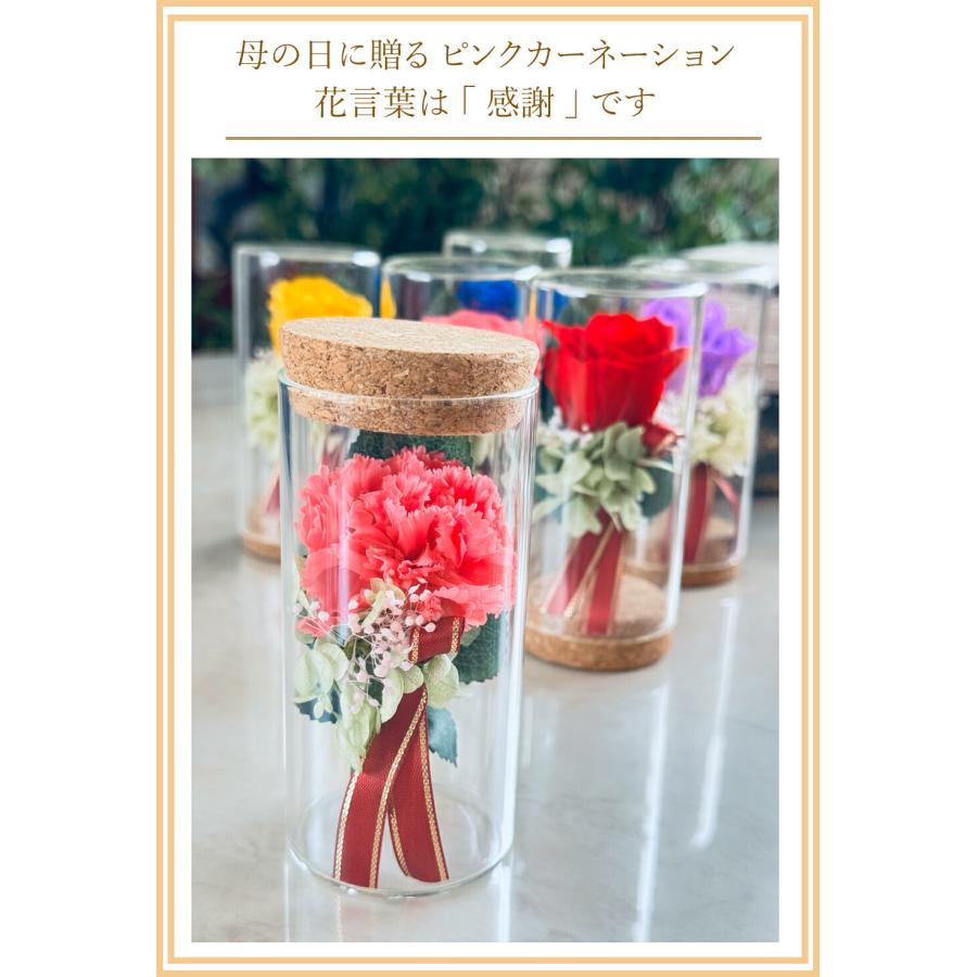 母の日✨特大✨バラ＆カーネーション＆フレンチマリアンヌ✨全てプリザーブドフラワー マリアンヌ ガラスドーム プリザーブドフラワー 11時まで即日出荷