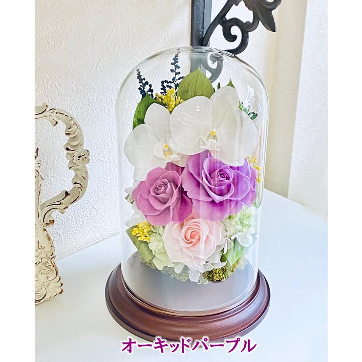 敬老の日 プリザーブドフラワー 胡蝶蘭 ガラスドーム 御祝 誕生日 新盆 お供え 仏花 名入れ 記念品 記念日 ブリザード 退職 退官 就任 古希 米寿 白寿 開業 Flower Gdome Cafura 通販 Yahoo ショッピング