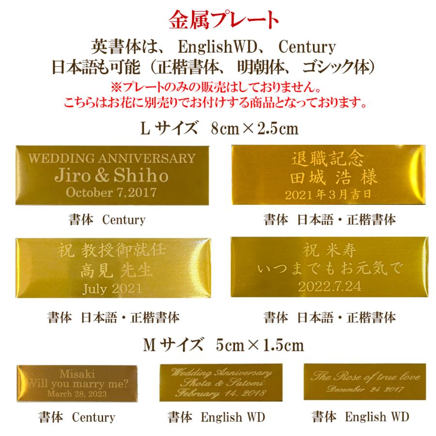 Misaki様 オーダーページ 4/21 【公式通販】