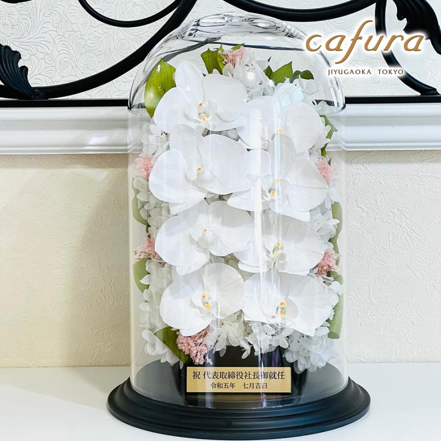 プリザーブドフラワー 胡蝶蘭 ガラスドーム 御祝 名入れ お祝い プリザーブドフラワー 胡蝶蘭 ガラスドーム 御祝 名入れ お祝い