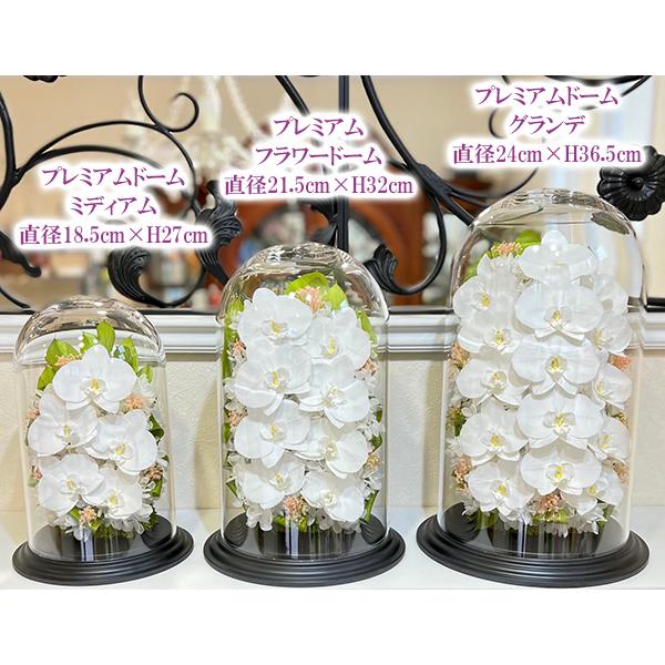 ギフト 母の日 プレゼント プリザーブドフラワー 胡蝶蘭 名入れ 記念品 開業 御祝 お供え お悔やみ 仏壇 法事 就任 退職 退官 金婚式 ブリザードフラワー Wantannas Go Id