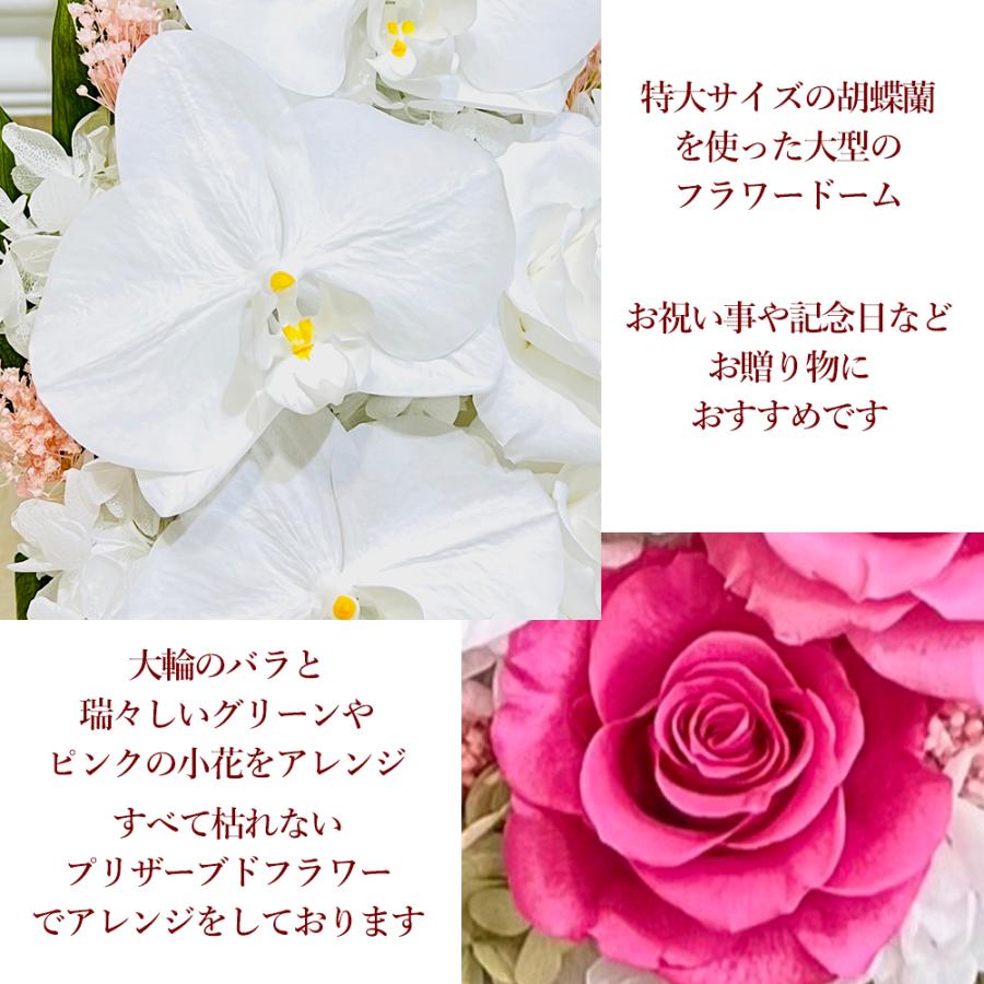 プリザーブドフラワー 母の日 胡蝶蘭 バラ フラワードーム 御祝 米寿