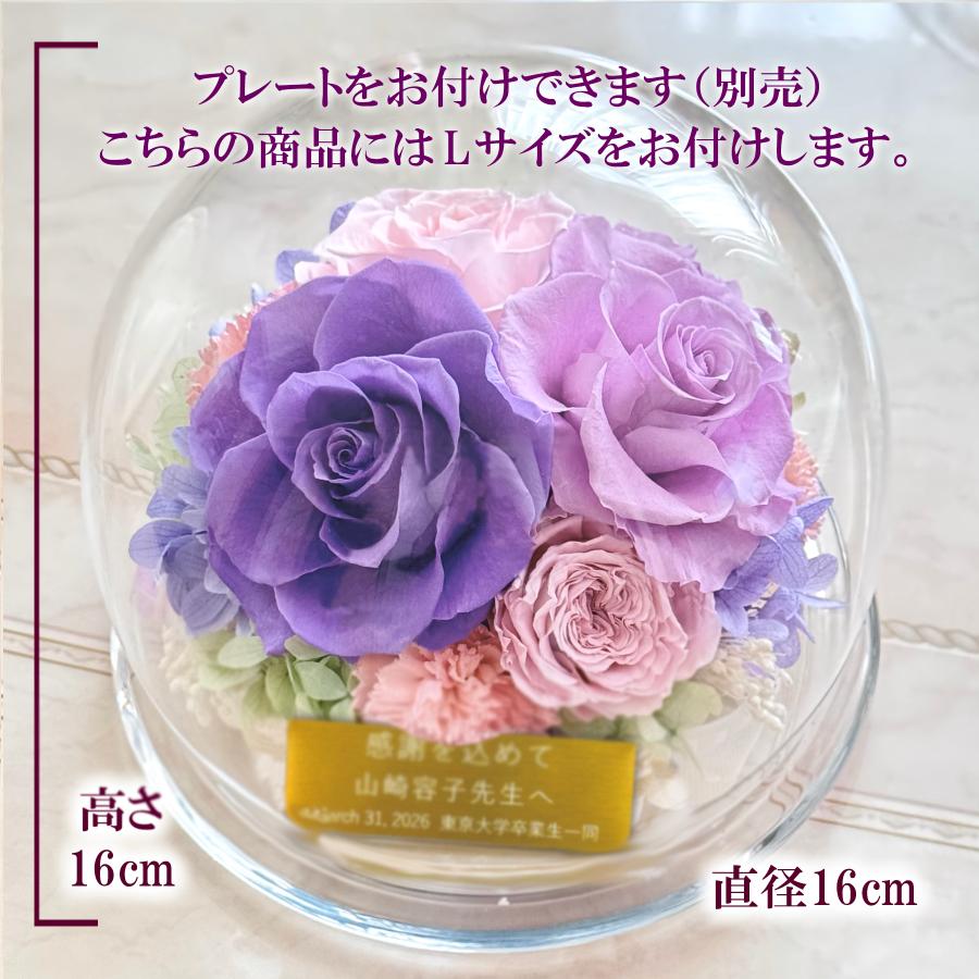 プリザーブドフラワー ガラスドーム Lサイズ プレゼント ひまわり 胡蝶