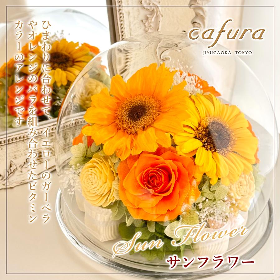 プリザーブドフラワー ガラスドーム 敬老の日 バラ 胡蝶蘭