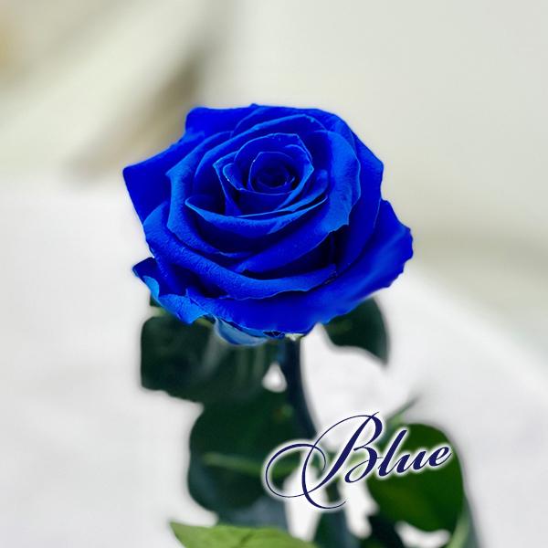 プリザーブドフラワー プレゼント 一輪のバラ 一本バラ 誕生日 記念日 卒業 合格 送別 入学 御祝 プレゼント 記念品 枯れない Stemrose Cafura 通販 Yahoo ショッピング