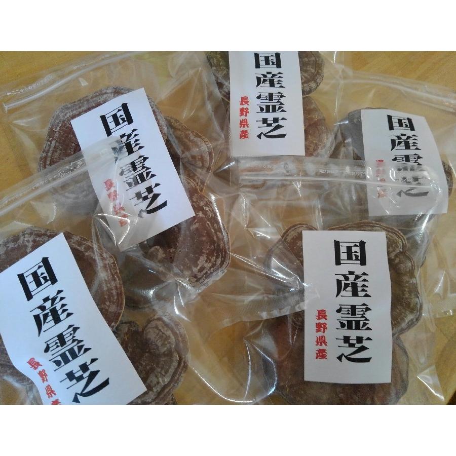 国産霊芝 長野県産マンネン茸 80g : かがみ食品Yahoo!店 - 通販 