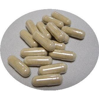 すっぽん丸ごと粉末100％　300mg×60粒入　お得3パックセット　1割引｜cagami｜02