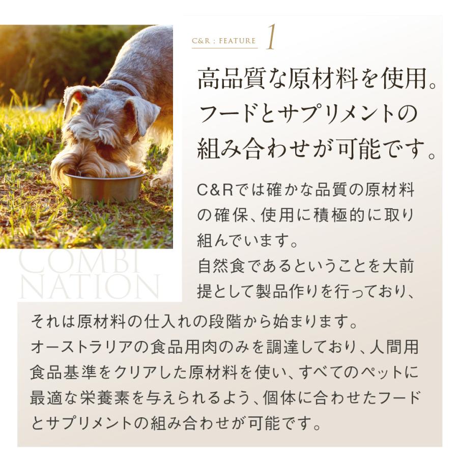 C&R ビタミンBコンプレックス Mサイズ（46g） 犬猫用サプリメント 正規