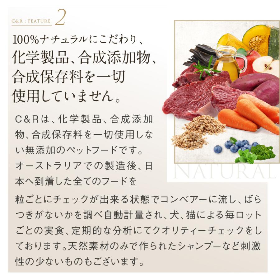 C&R ビタミンBコンプレックス Mサイズ（46g） 犬猫用サプリメント 正規