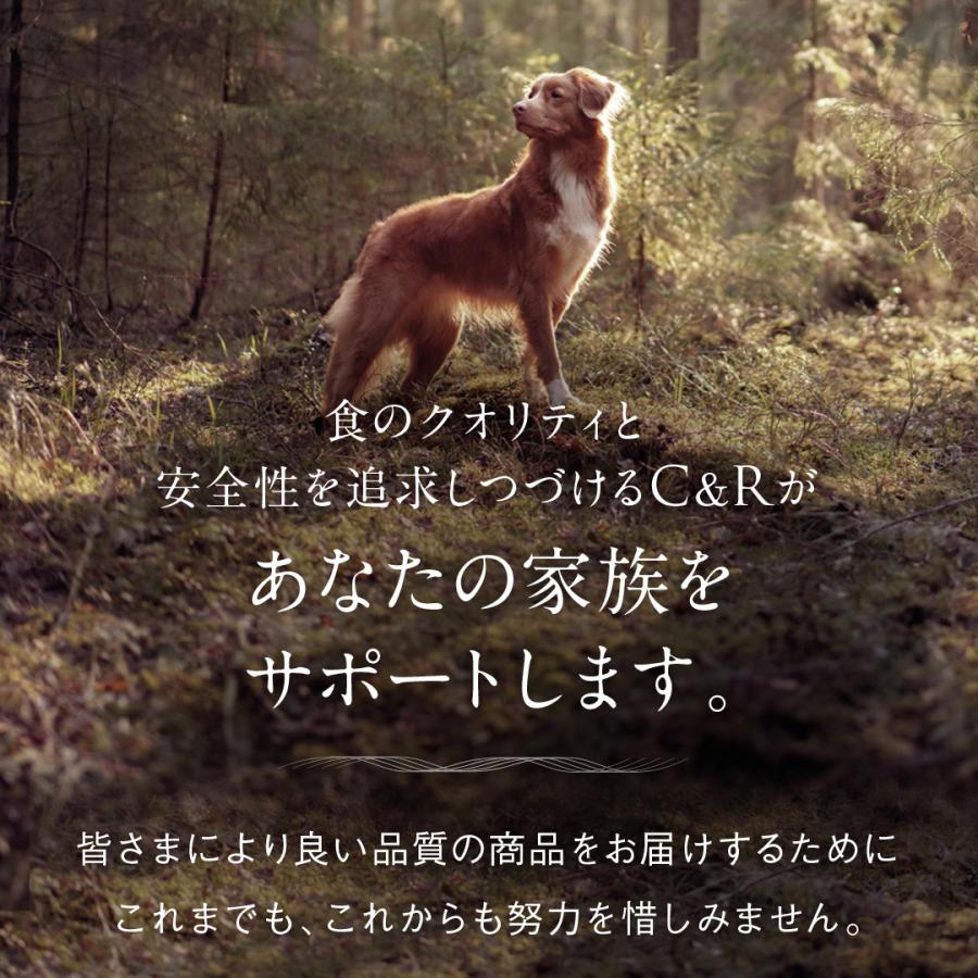 C&R ビタミンBコンプレックス Mサイズ（46g） 犬猫用サプリメント 正規