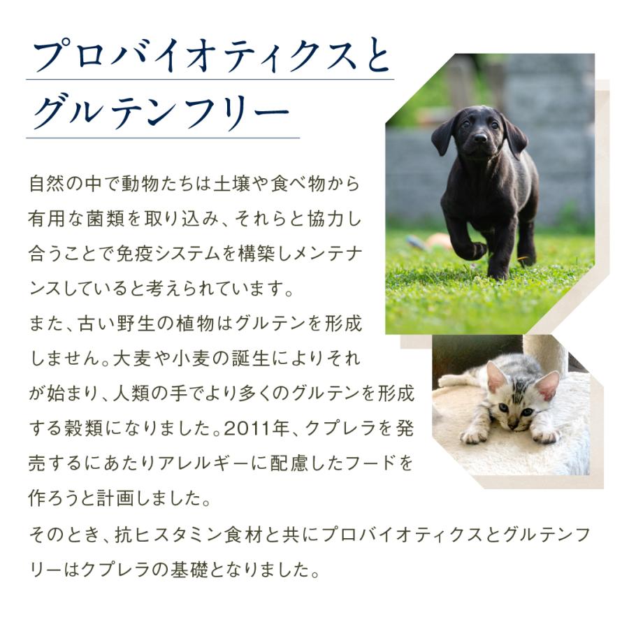 クプレラ セミベジタリアン・ドッグ 22.70kg（50ポンド）正規品 ドッグフード 無添加 ドライフード