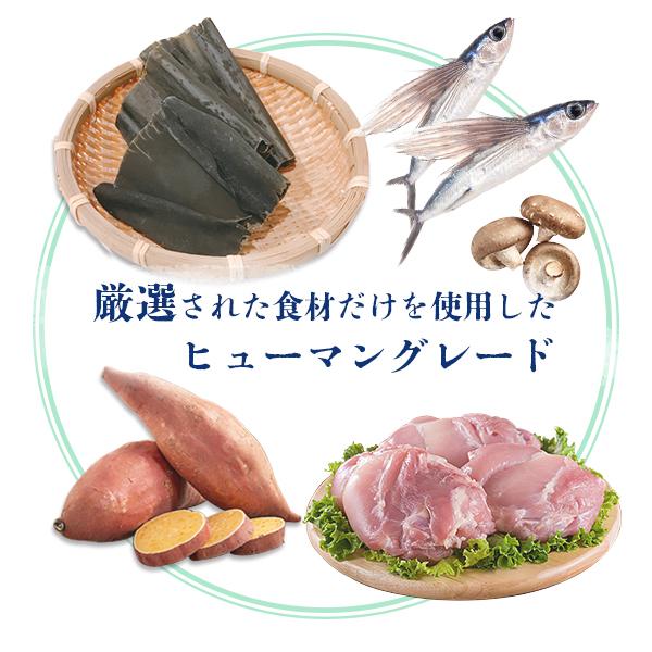 CUPURERA（クプレラ） C＆R レティック ツナ＆タピオカ・ドッグ 18g×4