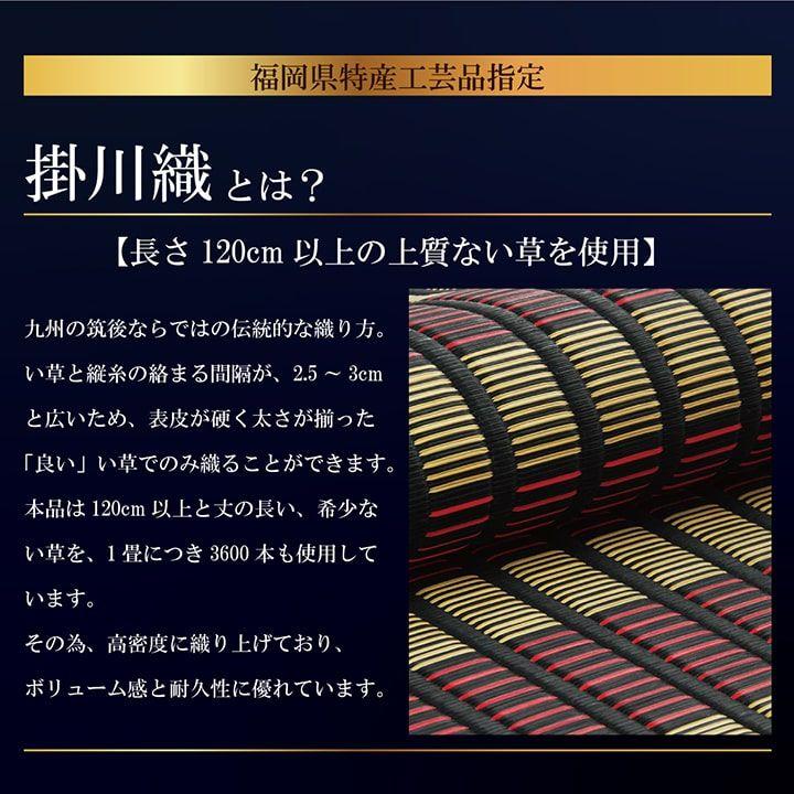 【福岡県品評会最優秀賞】敷物 国産 日本製 純国産 い草 掛川織 花ござ 抗菌防臭 自然素材 モダン 江戸間10畳 約435×352cm[13]_3