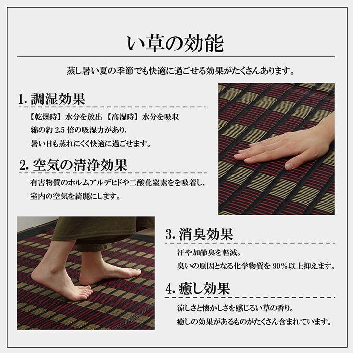 【福岡県品評会最優秀賞】敷物 国産 日本製 純国産 い草 掛川織 花ござ 抗菌防臭 自然素材 モダン 江戸間10畳 約435×352cm[13]_5