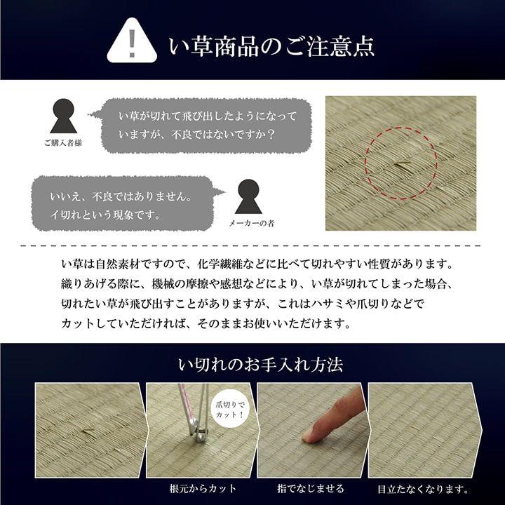 【福岡県品評会最優秀賞】敷物 国産 日本製 純国産 い草 掛川織 花ござ 抗菌防臭 自然素材 モダン 江戸間10畳 約435×352cm[13]_9