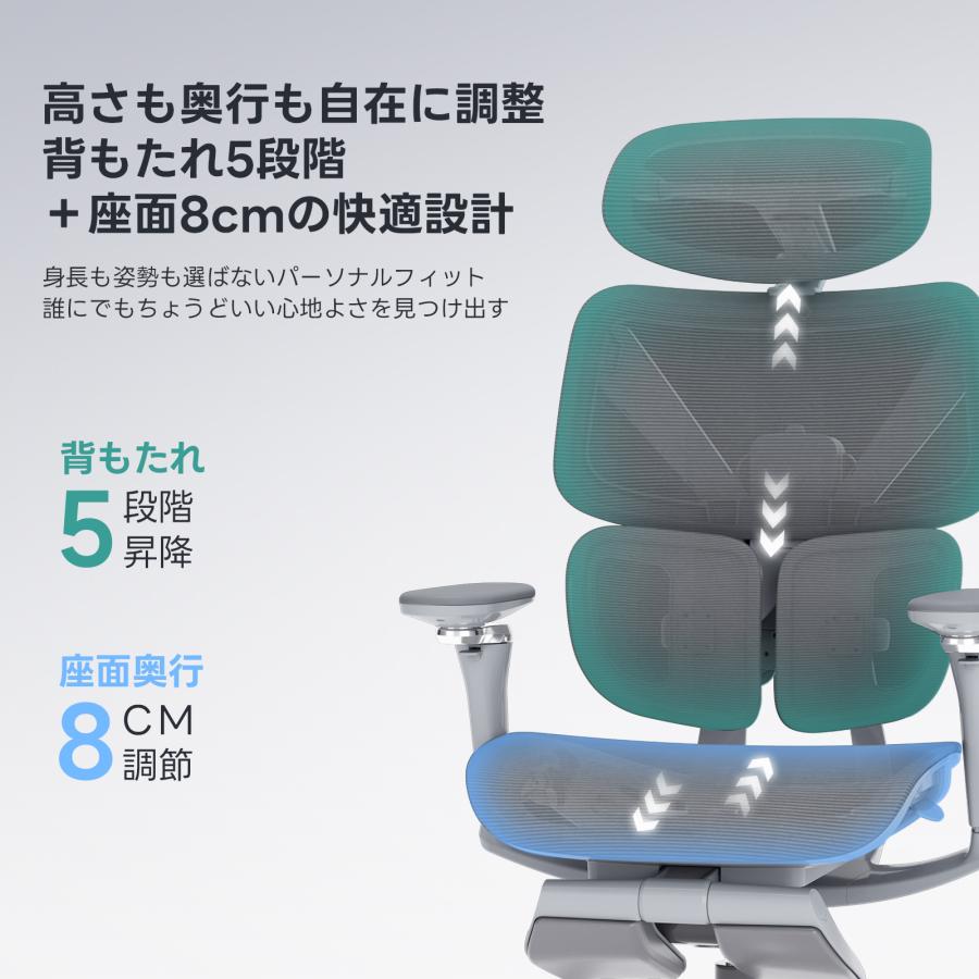 CAGUUU アクシスエルゴコアオフィスチェア 人間工学チェア