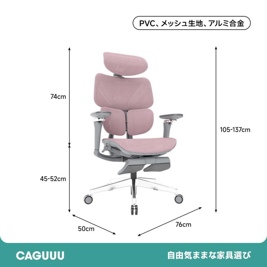 CAGUUU アクシスエルゴコアオフィスチェア 人間工学チェア