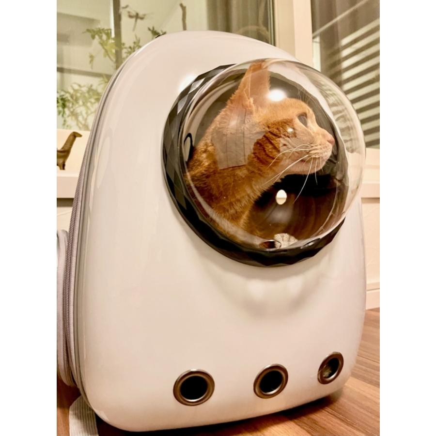 ペットリュック キャリーバッグ 猫 おしゃれ 小型犬・小動物用 ペット