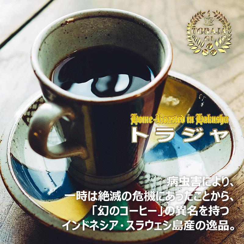 自家焙煎珈琲⭐︎珈琲豆 トラジャ 自家焙煎珈琲⭐︎珈琲豆 トラジャ