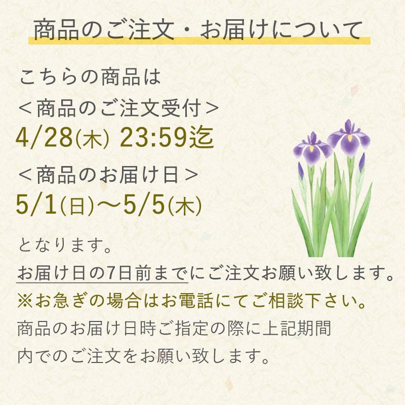 未使用品 5 1 5 5お届け こいのぼり ミニデコ ケーキ 子供の日 端午の節句 初節句 などのお祝いに Heartlandgolfpark Com