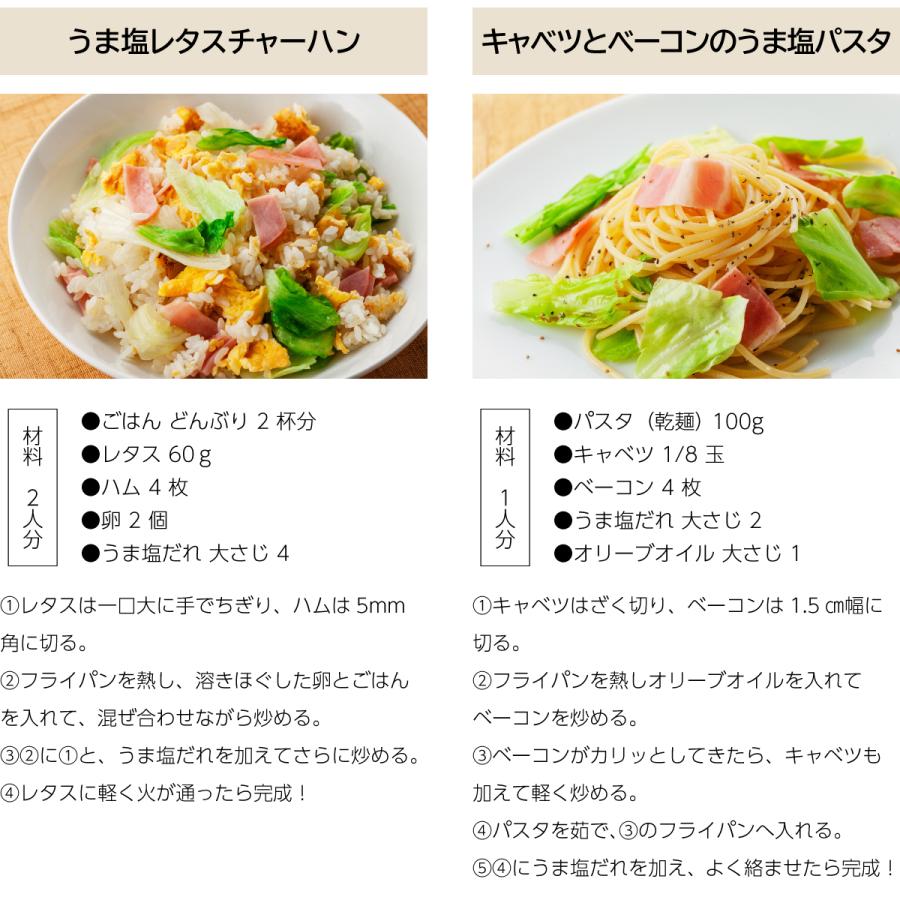 うま塩だれ ビッグサイズ 500ml ポイント消化 のし・ギフト対応可 |  | 10