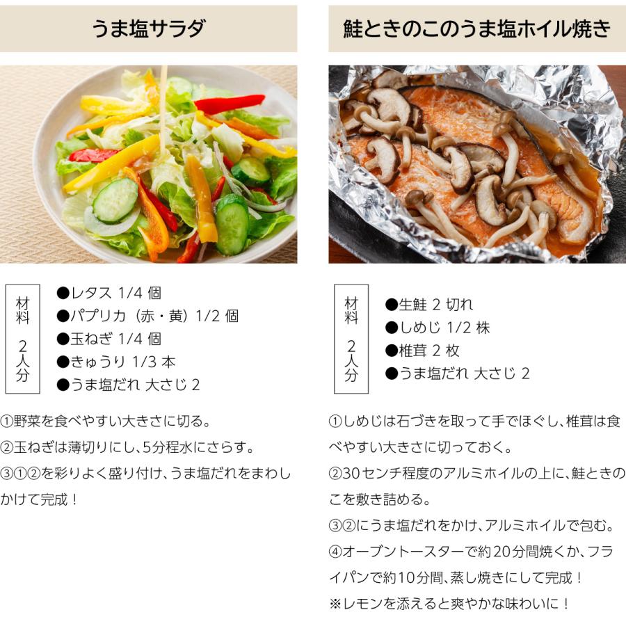 うま塩だれ ビッグサイズ 500ml ポイント消化 のし・ギフト対応可 |  | 08