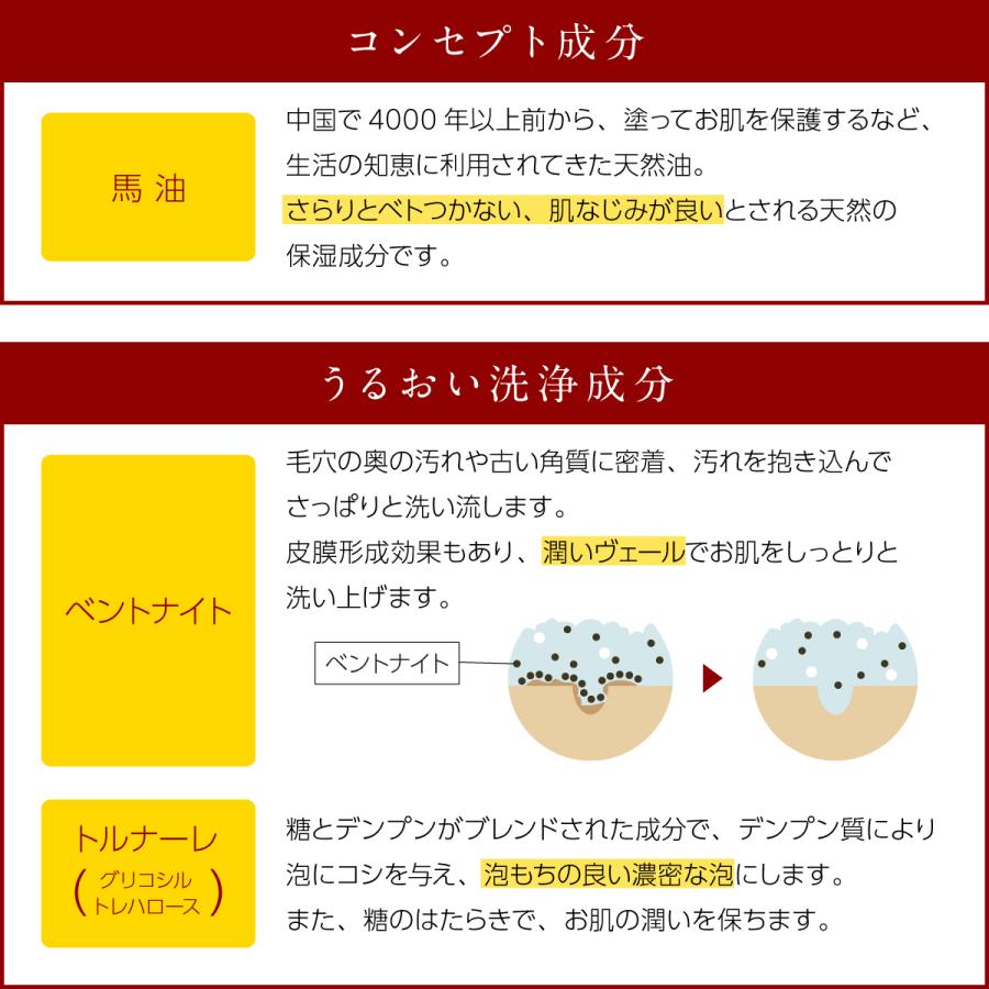 馬油洗顔フォーム120g×3本セット 無着色・無鉱物油 正規販売店