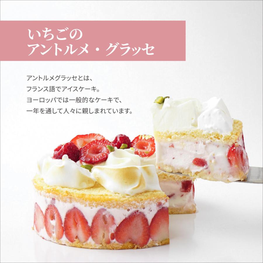 好きに アイスケーキ いちごのアントルメ グラッセ プレゼント お取り寄せ ケーキ 誕生日 人気 おしゃれ イチゴ 苺 いちご バースデーケーキ 雑誌 Materialworldblog Com