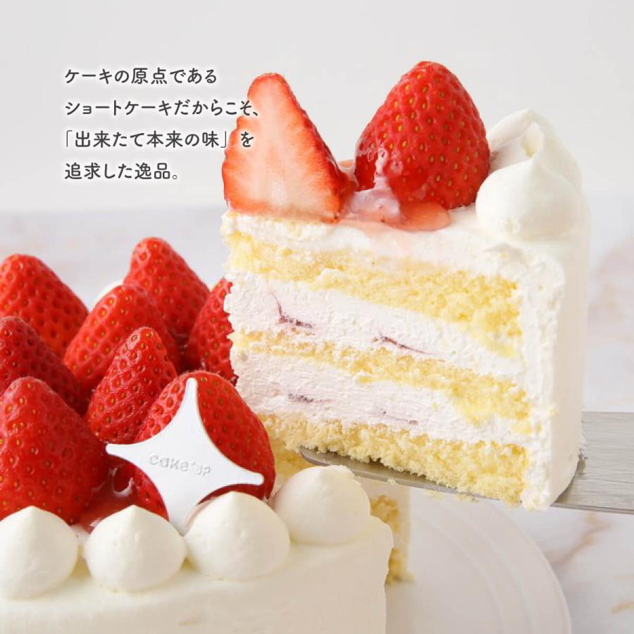 生どけイチゴのスペシャルショートケーキ 5号 苺 お取り寄せ ケーキ 誕生日 バースデーケーキ クリスマスケーキ 誕生日ケーキ 予約 送料無料 :3403774:Cake.jp - 通販 - Yahoo!ショッピング 生どけイチゴのスペシャルショートケーキ 5号 苺 お取り寄せ ケーキ 誕生日 バースデーケーキ クリスマスケーキ 誕生日ケーキ 予約 送料無料 :3403774:Cake.jp - 通販 - Yahoo!ショッピング