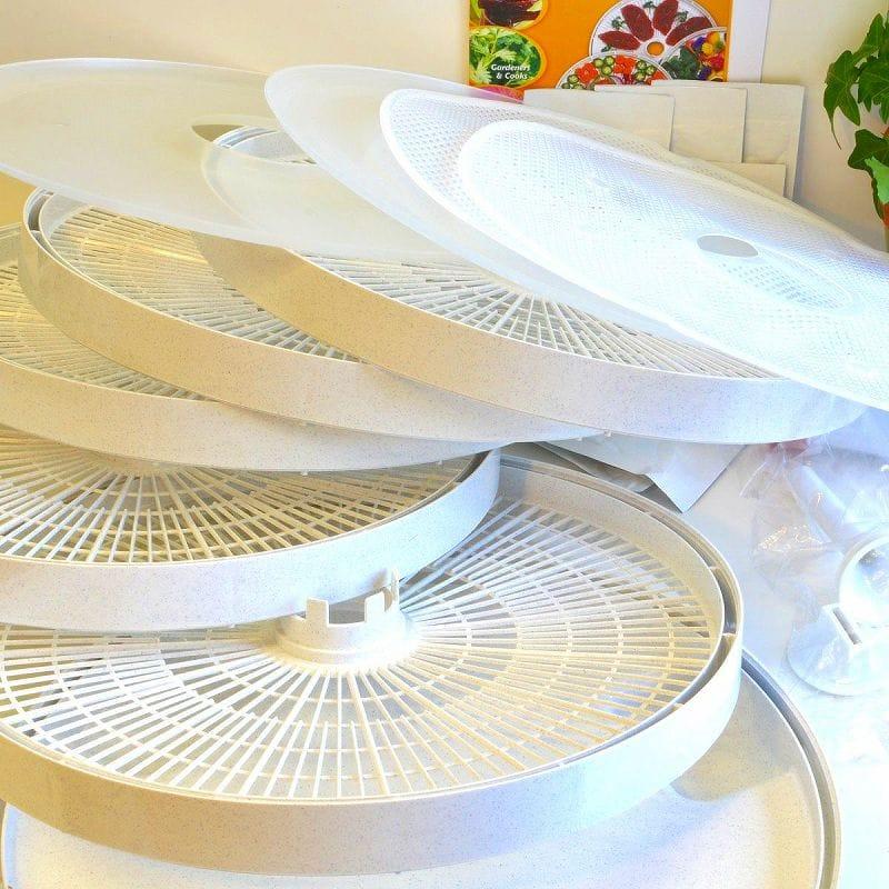 ローフード ディハイドレーター 食品用電気乾燥機 ネスコ ビーフ