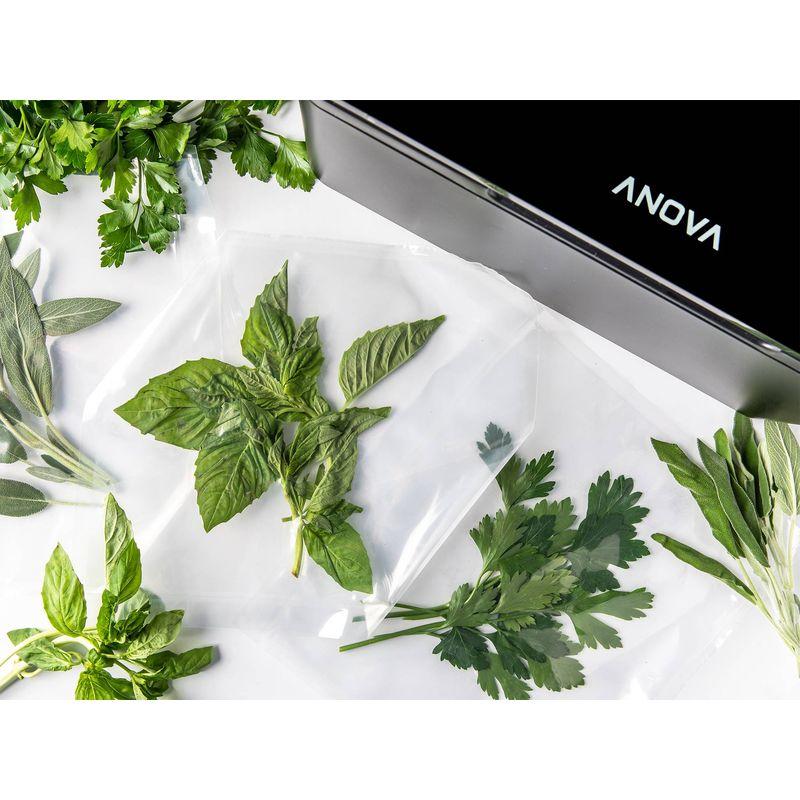 真空シーラー バキューム シール Anova Precision Chamber Vacuum Sealer 家電の画像