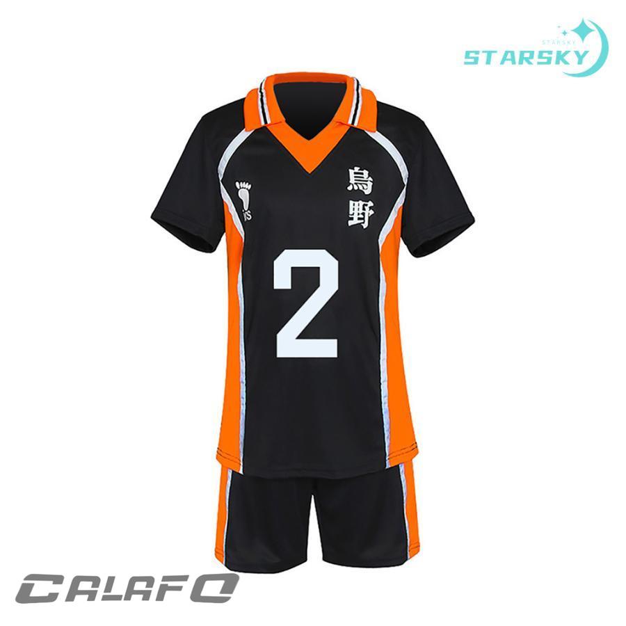 ハイキュー!! 音駒高校 烏野高校 稲荷崎高校 日向翔陽 菅原孝支