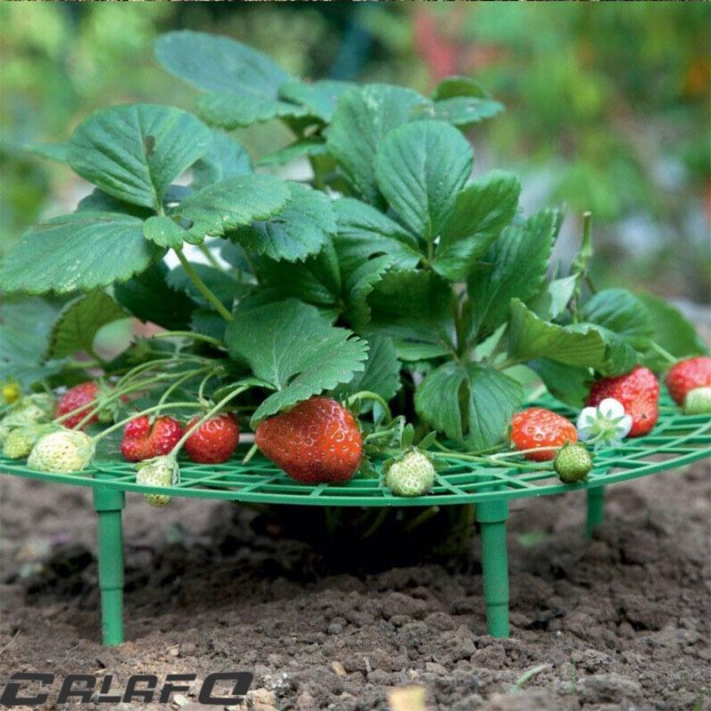いちご様　多肉植物棚　TD-W804D いちご様 多肉植物棚 TD-W804D いちご様 多肉植物棚 TD-W804D