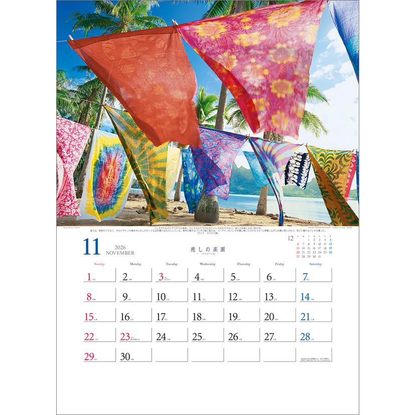 カレン ZENITH(ゼニス) カレントライン キャスティズム CC-85MH ◎大型