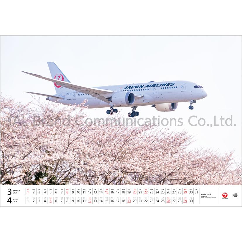 JAL「FLEET」（大型判） 2026年 カレンダー CL26-1134 カレナビ
