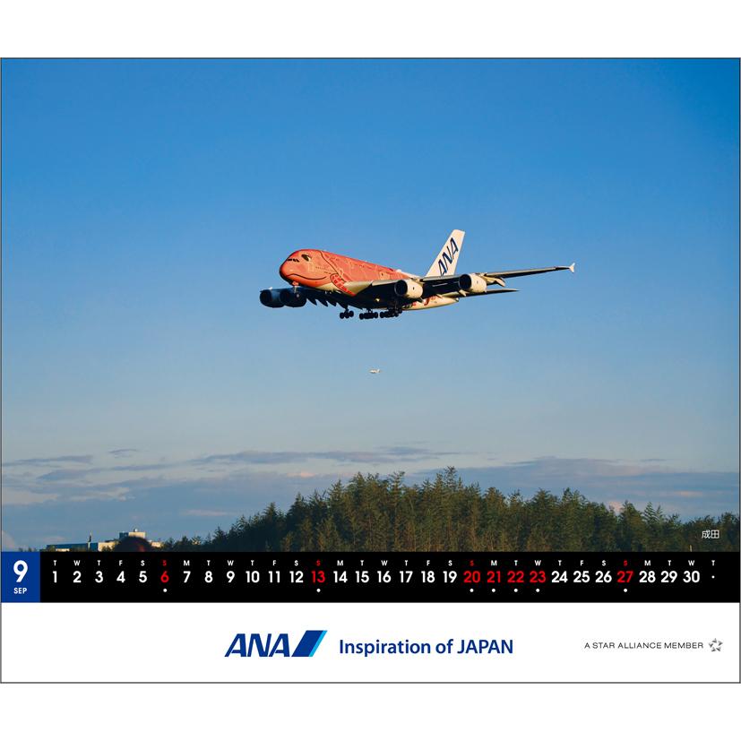 ANA「卓上 A380 FLYING HONU」 2026年 カレンダー CL26-1159 カレナビ