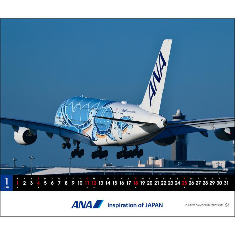 ANA「卓上 A380 FLYING HONU」 2026年 カレンダー CL26-1159 カレナビ