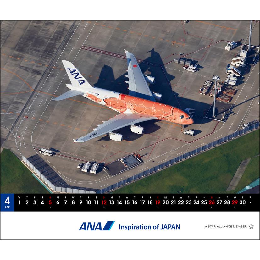 ANA「卓上 A380 FLYING HONU」 2026年 カレンダー CL26-1159 カレナビ