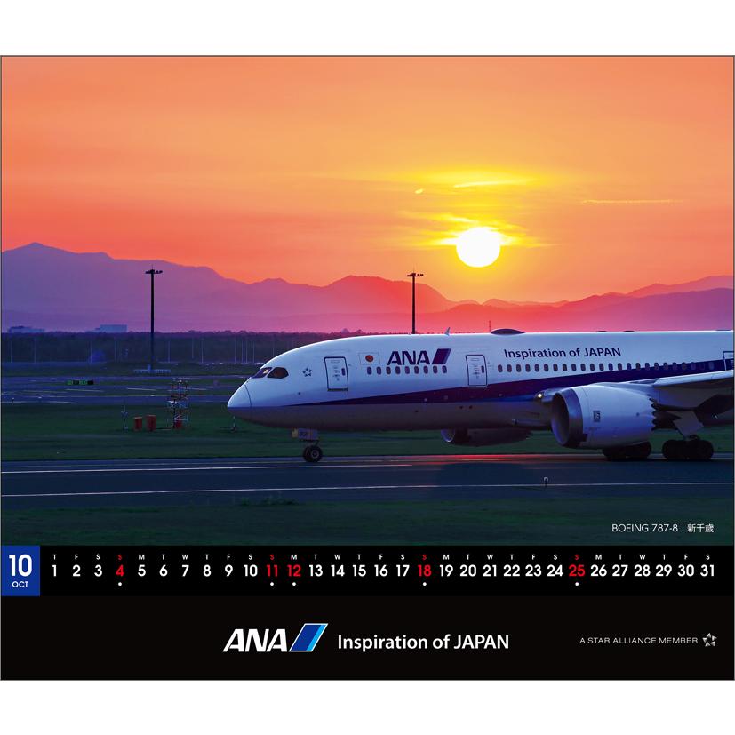 ANA「卓上 787」 2026年 カレンダー CL26-1161 カレナビ おしゃれ