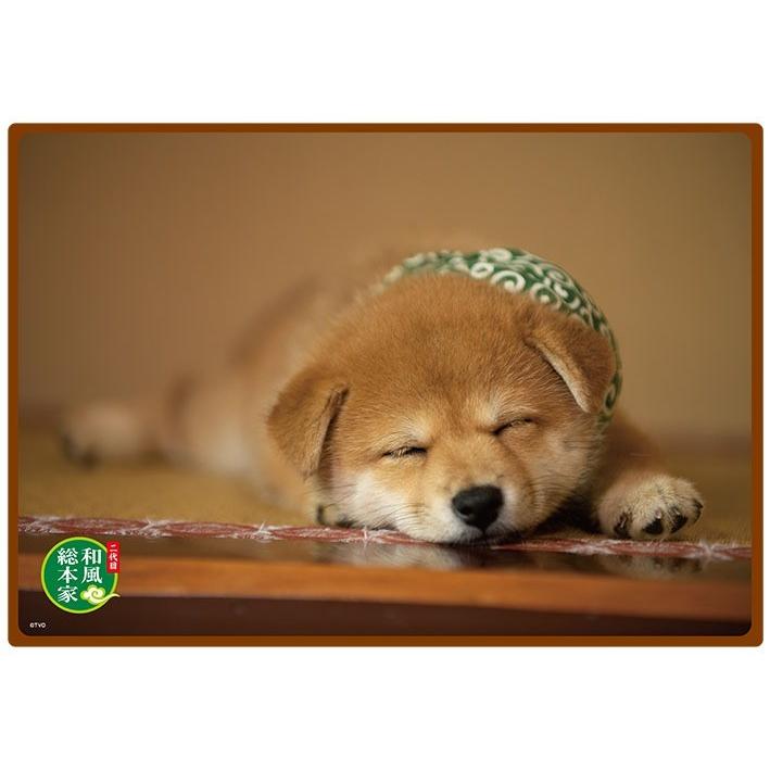 二代目 和風総本家豆助 ひざ掛け 6 カレナビ 通販 Yahoo ショッピング