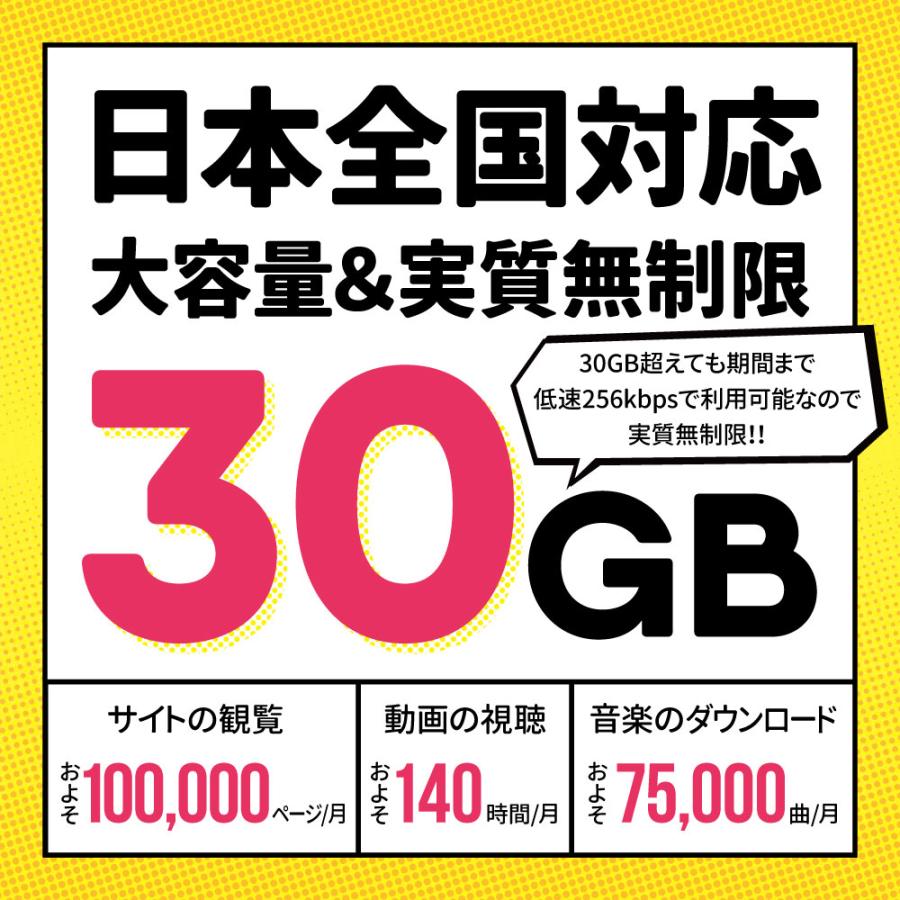 プリペイドSIMカード 180日30GBプラン[Iプラン] 長期格安プラン 日本国内用 |  | 02